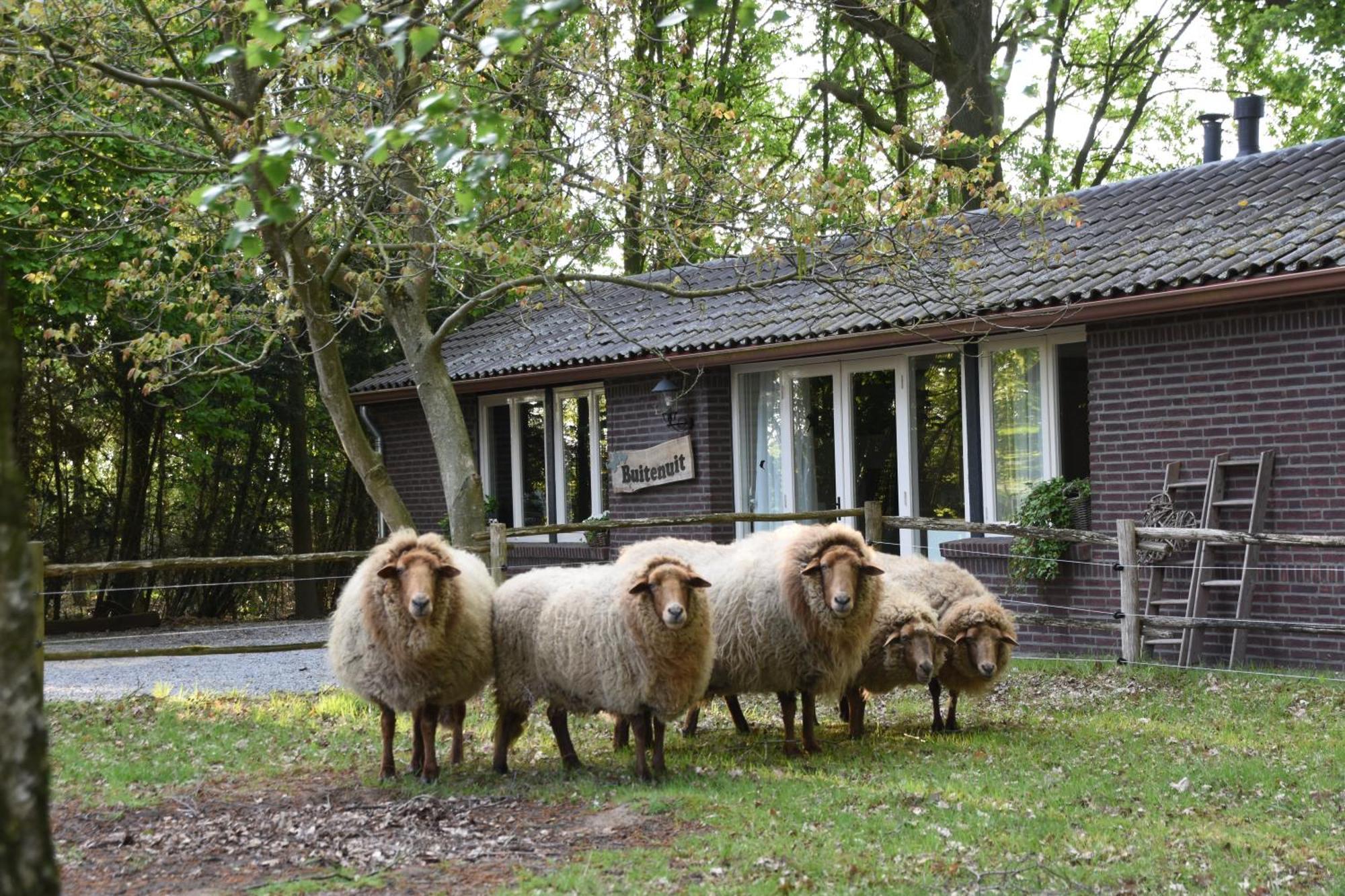 Buitenuit Boxtel Exteriér fotografie