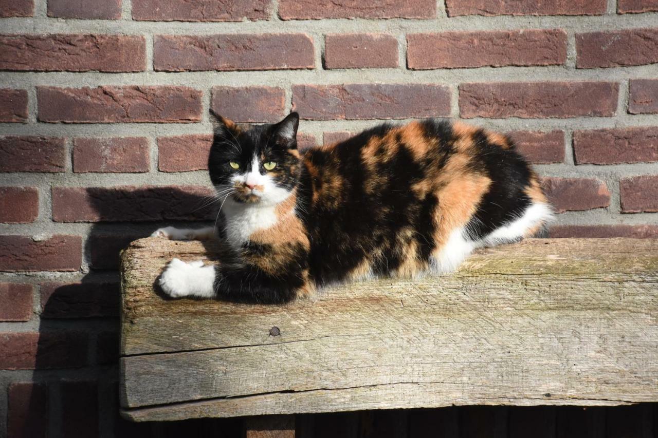 Buitenuit Boxtel Exteriér fotografie
